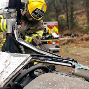 Meet your Posher, Brady